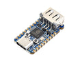 Raspberry Pi Pico 2 RP2350A USB Type-C & USB-A Development Board  Raspberry Pi Pico 2